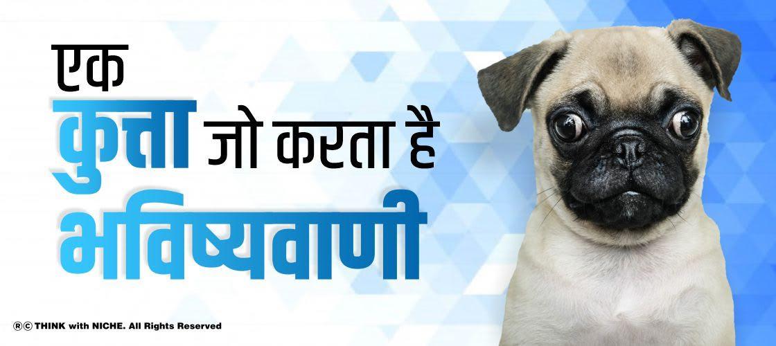 एक कुत्ता जो करता है भविष्यवाणी
