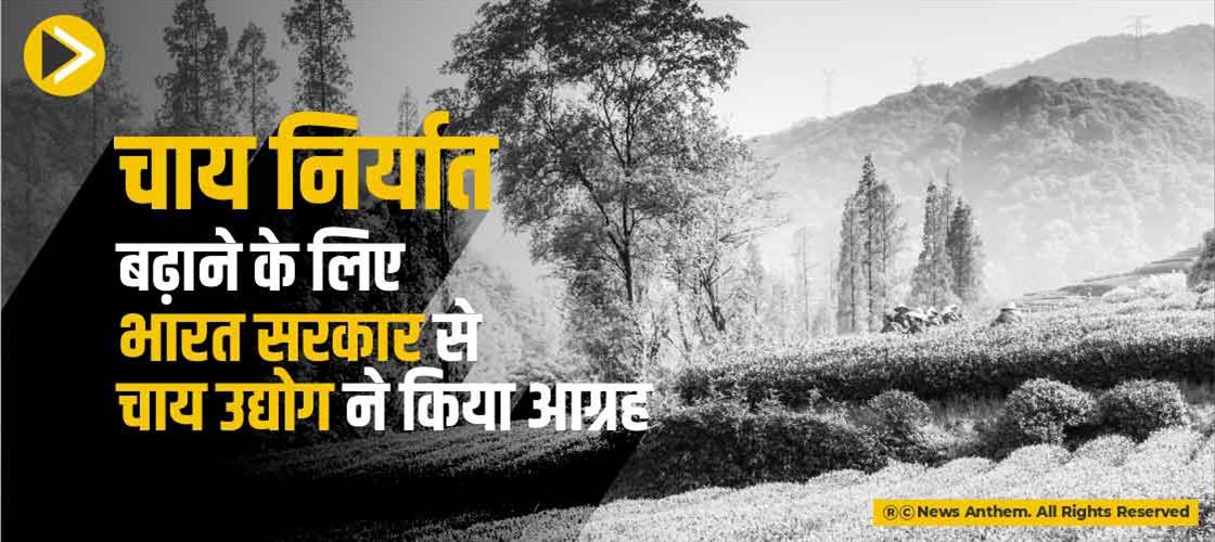 चाय निर्यात बढ़ाने के लिए भारत सरकार से चाय उद्योग ने किया आग्रह