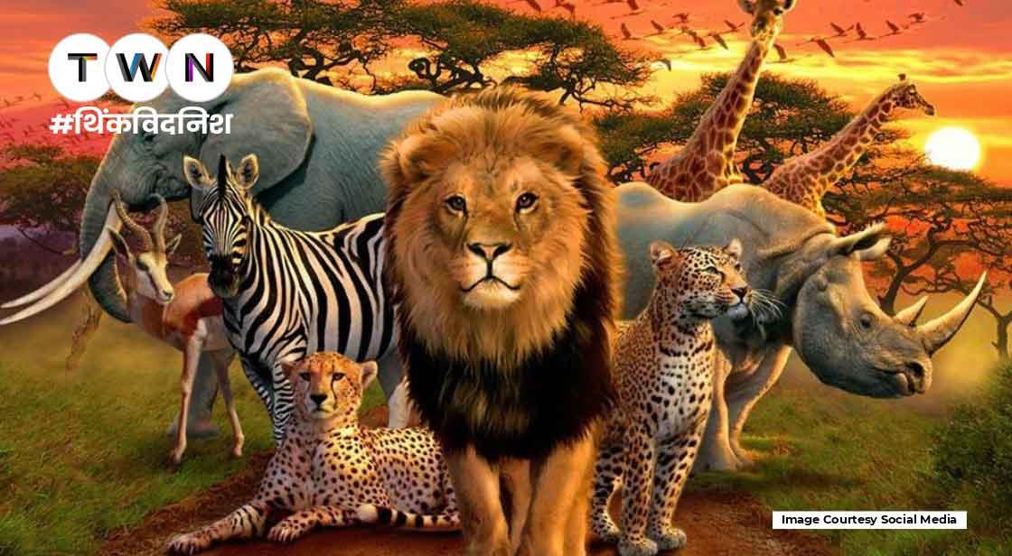 वन्यजीवों के संरक्षण की आवश्यकता क्यों है?