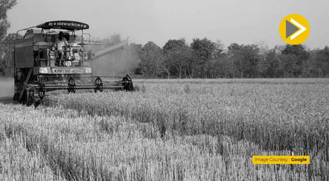 36 Countries Including US urge UN Members to keep Food Markets Open