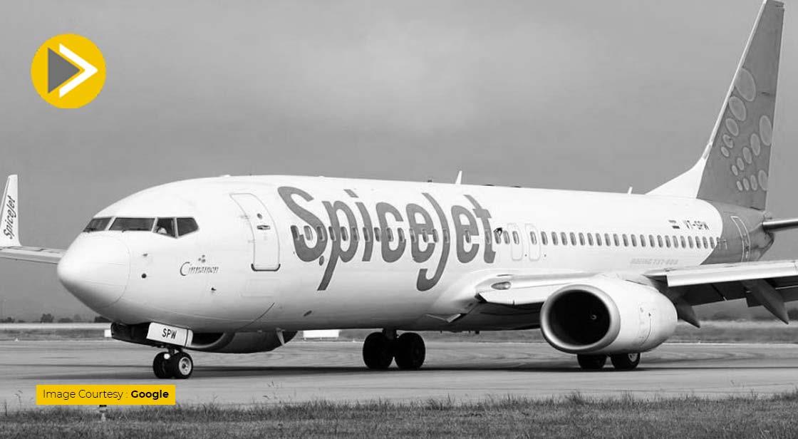 SpiceJet Extends ESOP Scheme to Recognise Employees Efforts