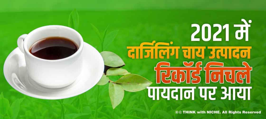2021 में दार्जिलिंग चाय उत्पादन रिकॉर्ड निचले पायदान पर आया