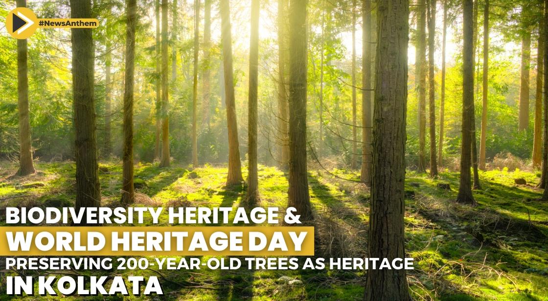 Biodiversity Heritage and World Heritage Day: Preserving 200-year-old Trees as Heritage in Kolkata