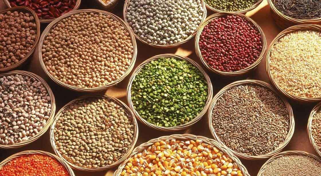 India’s Agricultural and Processed Food Products Exports Increased by 13%