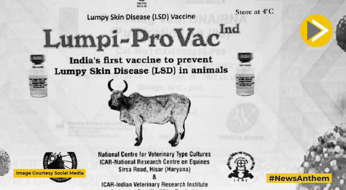 वैज्ञानिकों ने खोजा निकाला Lumpy skin Disease का टीका