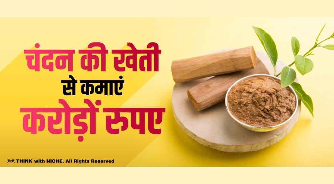 चंदन की खेती से कमाएं करोड़ों रुपए