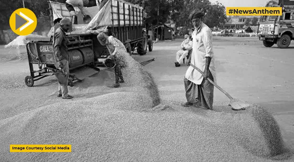 12 जुलाई से मैदा और आटे के निर्यात पर लगेगा प्रतिबंध