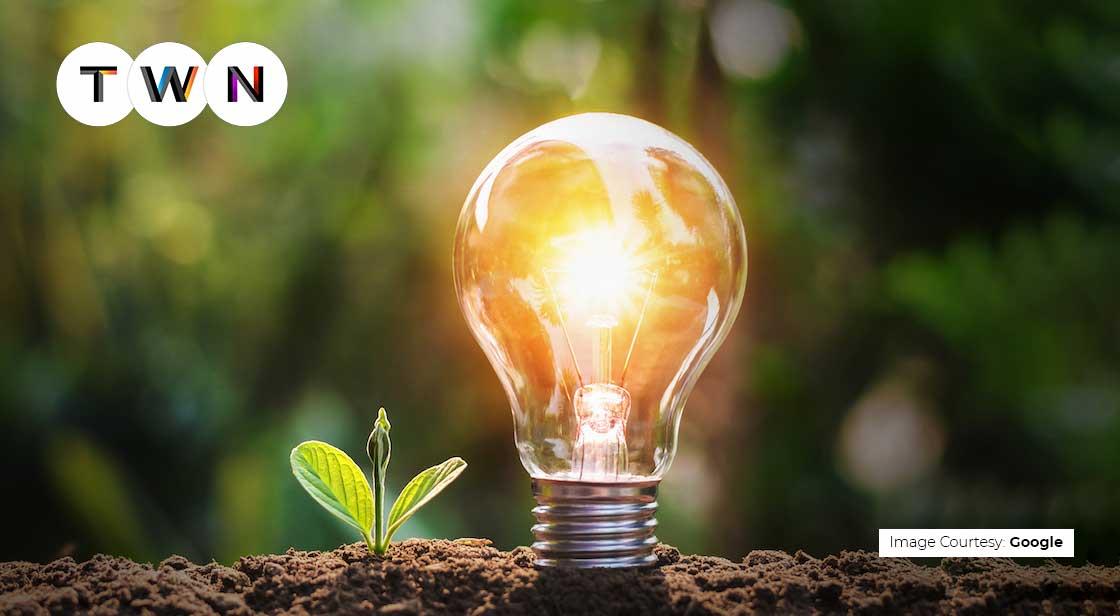 Renewable Sector: Grow & Glow