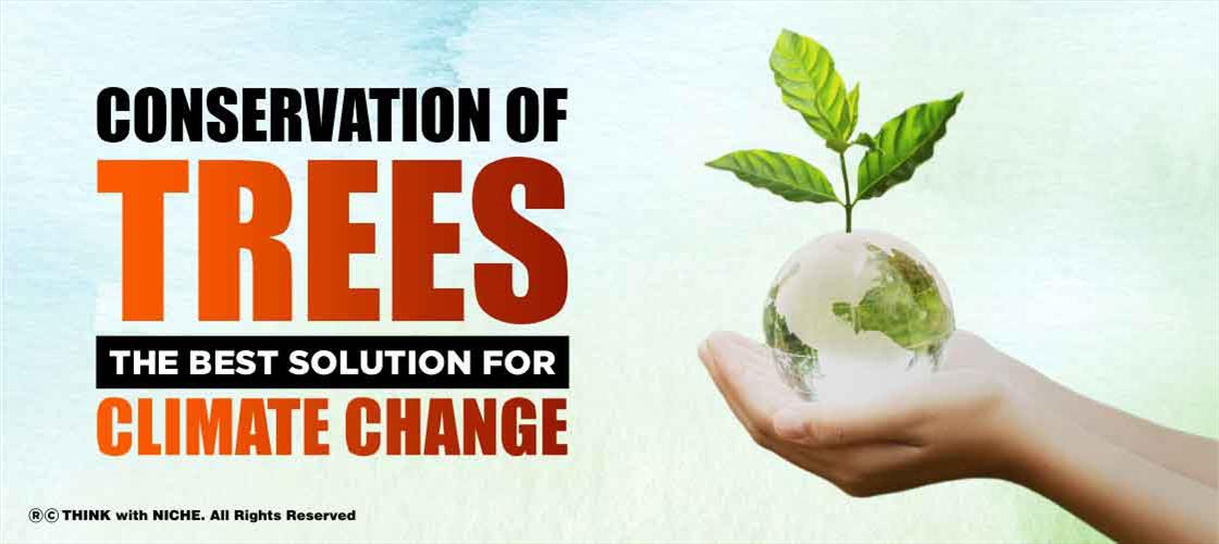 conservation-of-trees-best-solution-for-climate-change
