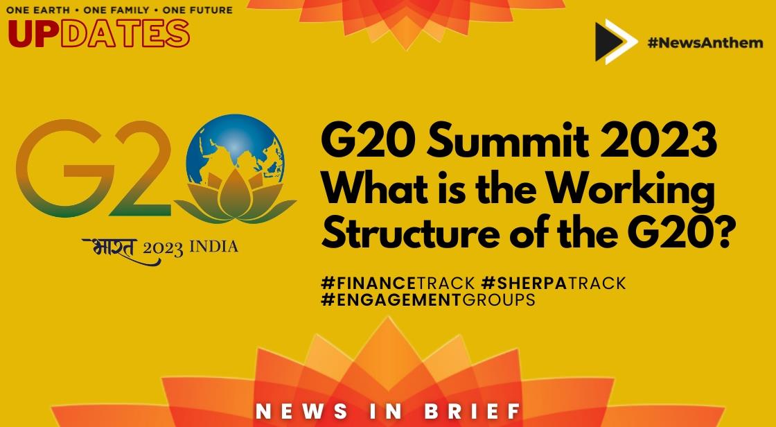 G20 Summit 2023: What is the working structure of the G20?