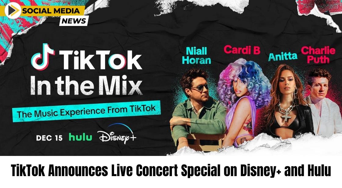 TikTok In The Mix Concert Highlights Coming to Disney+ and Hulu