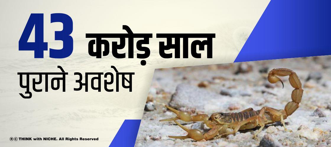 43 करोड़ साल पुराने अवशेष