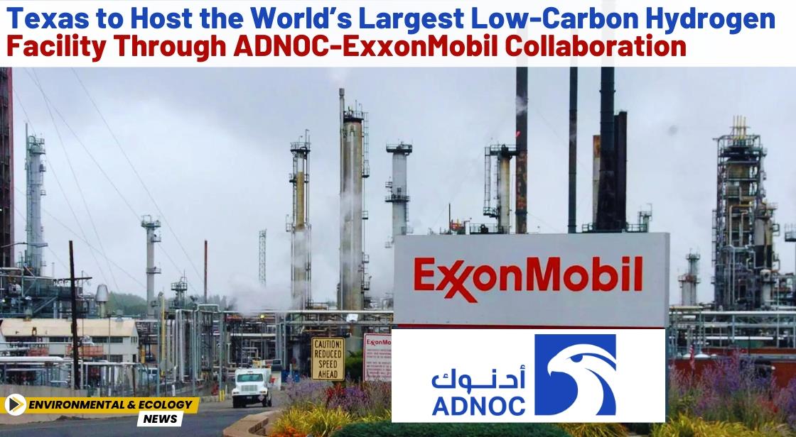 Texas to Host the World’s Largest Low-Carbon Hydrogen Facility through ADNOC-ExxonMobil Collaboration