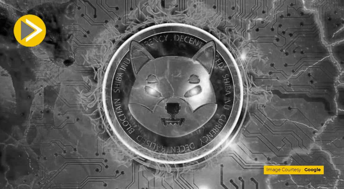 Shiba Inu may be the Next Memecoin to go Bust