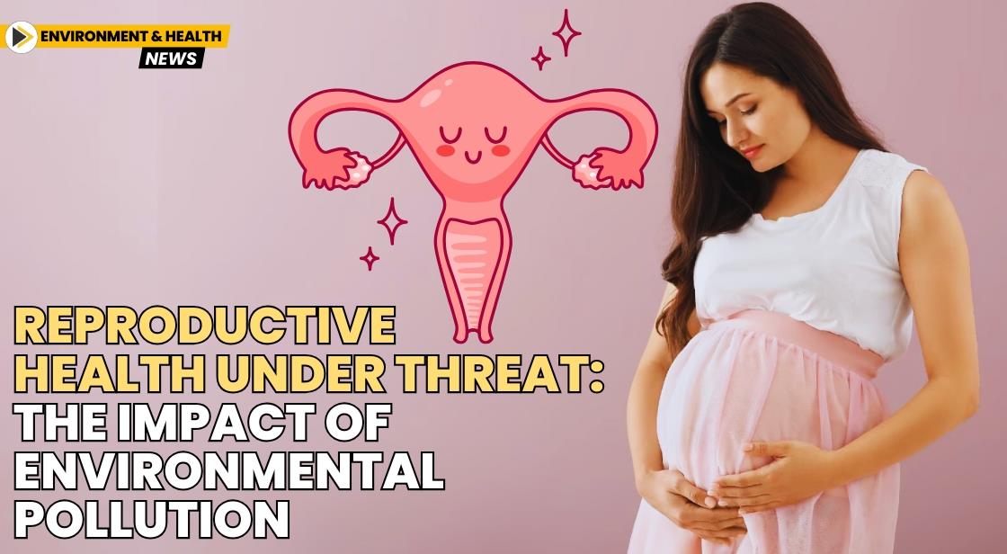 Reproductive Health Under Threat: The Impact of Environmental Pollution