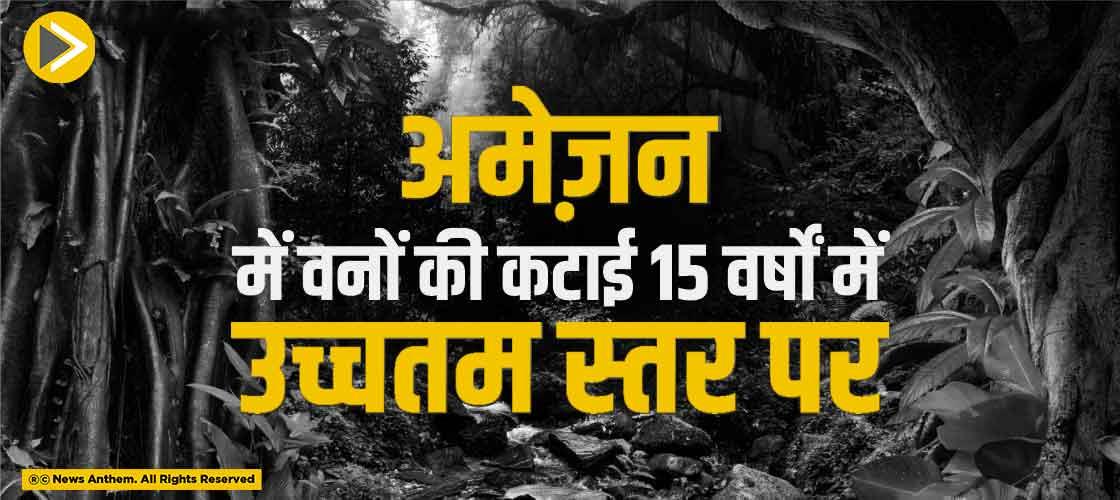 अमेज़न में वनों की कटाई 15 वर्षों में उच्चतम स्तर पर