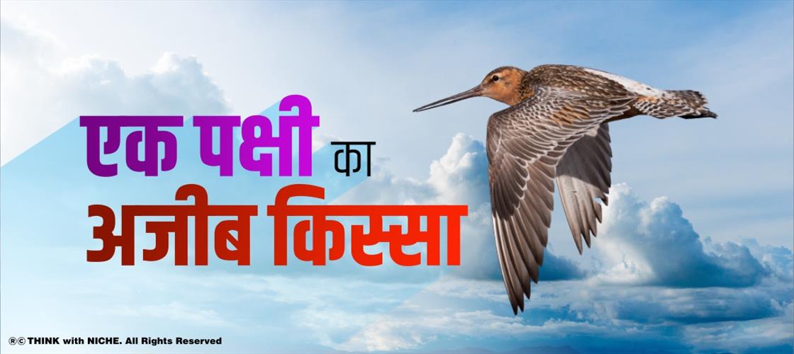 एक पक्षी का अजीब किस्सा