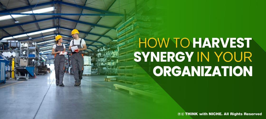 how-to-harvest-synergy-in-your-organization