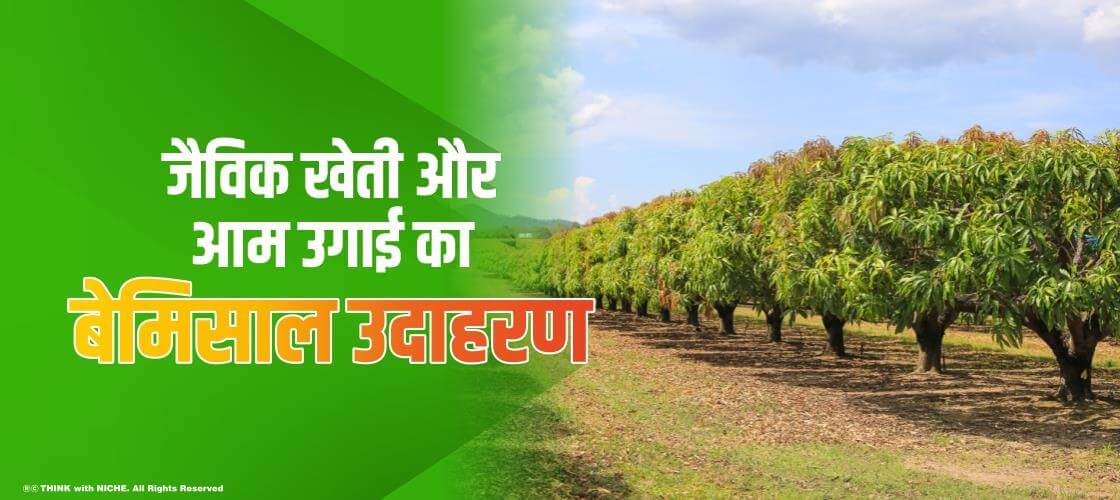 Unique-example-of-organic-farming-and-mango-cultivation