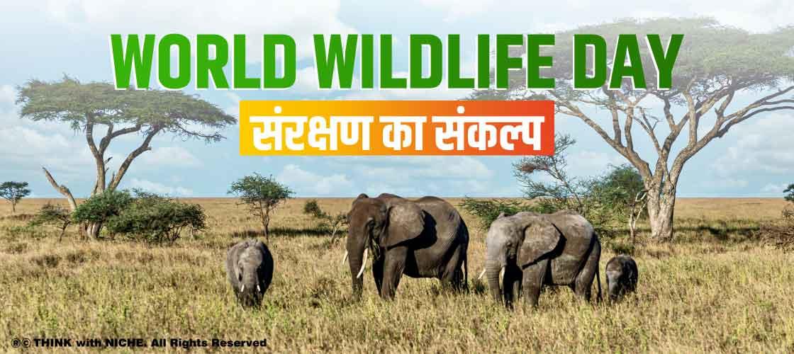 world-wildlife-day-oath-for-protect