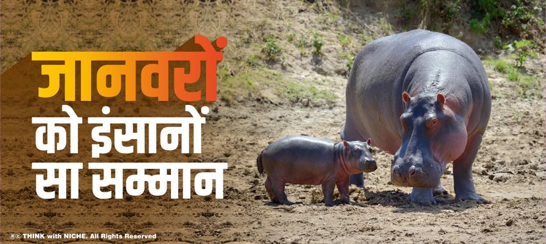 respect-for-animals-as-humans