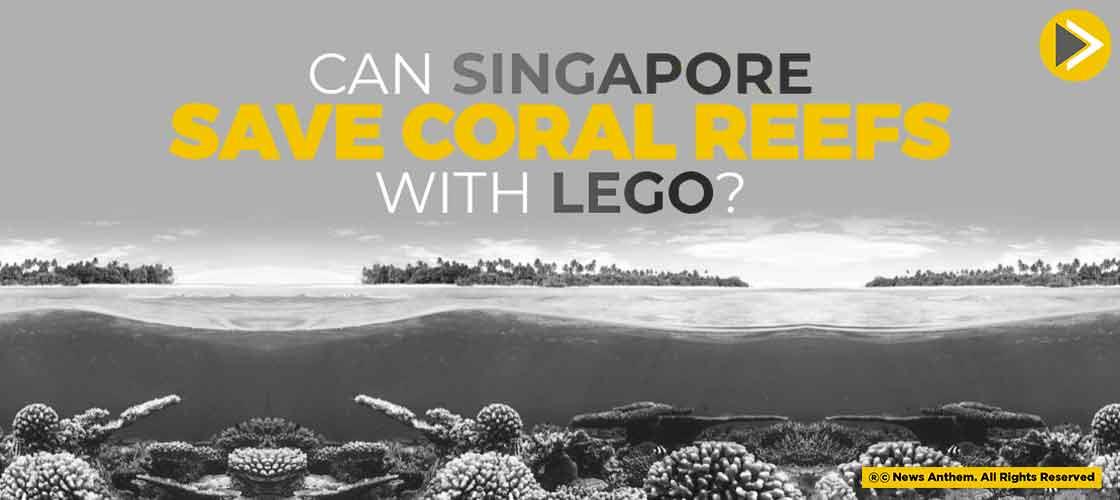 Can Singapore Save Coral Reefs with Lego