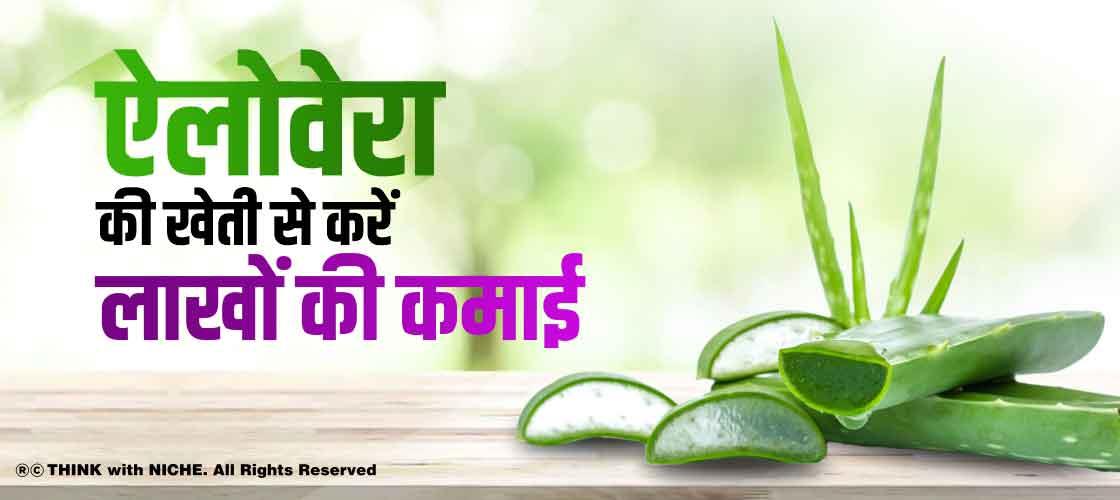 https://www.author.thinkwithniche.com/allimages/project/thumb_4c5f8earn-lakhs-by-cultivating-aloe-vera.jpg