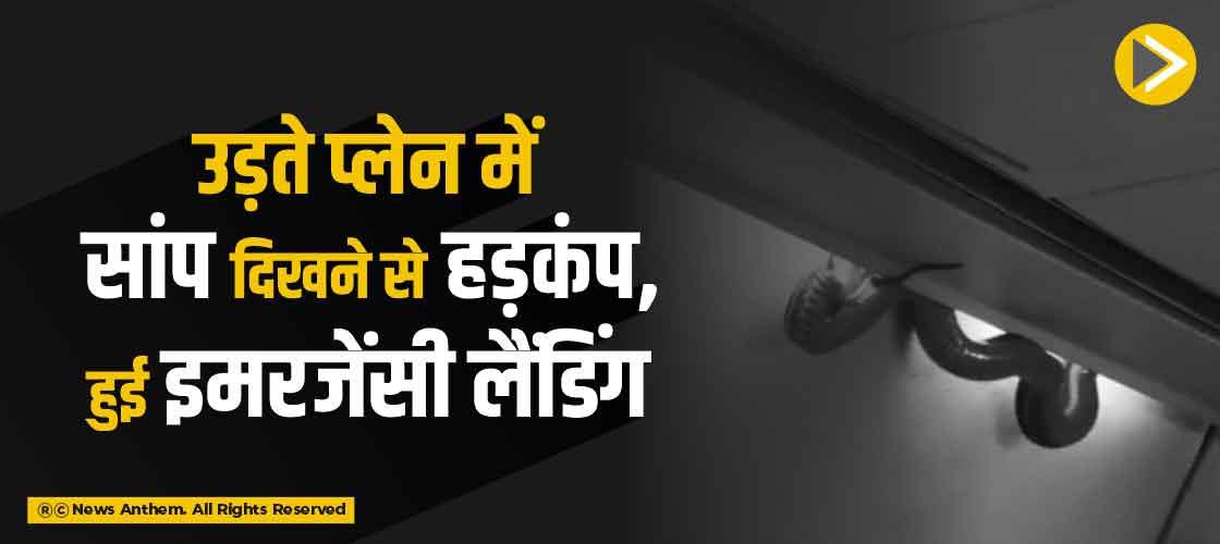 उड़ते प्लेन में सांप दिखने से हड़कंप, हुई इमरजेंसी लैंडिंग