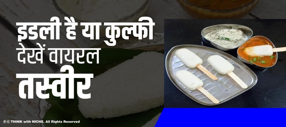 इडली है या कुल्फी? देखें वायरल तस्वीर