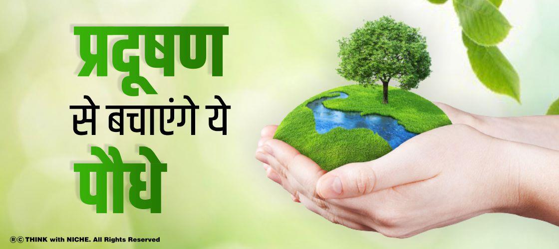 प्रदूषण से बचाएंगे ये पौधे