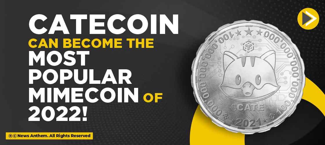Catecoin can become the most popular Mimecoin of 2022