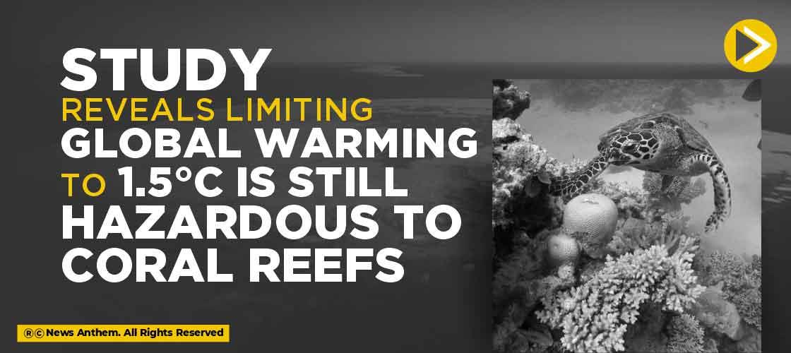 Study reveals limiting global warming to 1.5°C is still hazardous to coral reefs