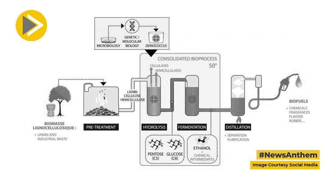 Bioethanol Market Will Generate New Growth Opportunities by 2030 :Report