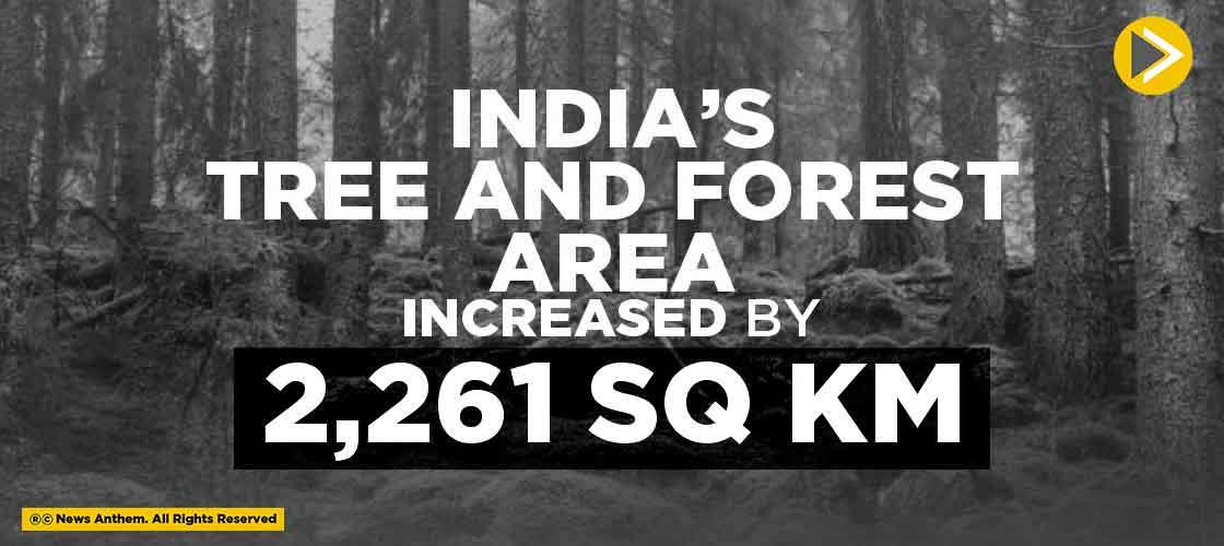 India’s Tree and Forest Area Increased by 2,261 sq km