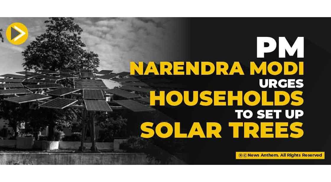 PM Narendra Modi urges households to set up Solar Trees