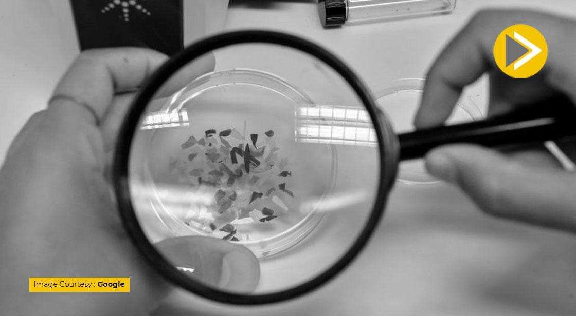 Microplastics discovered in new Antarctic Snow
