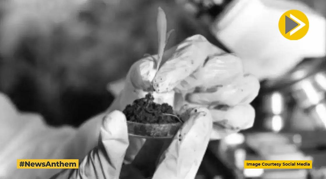 Scientists believe that Genome Editing can help crops adapt to climate change