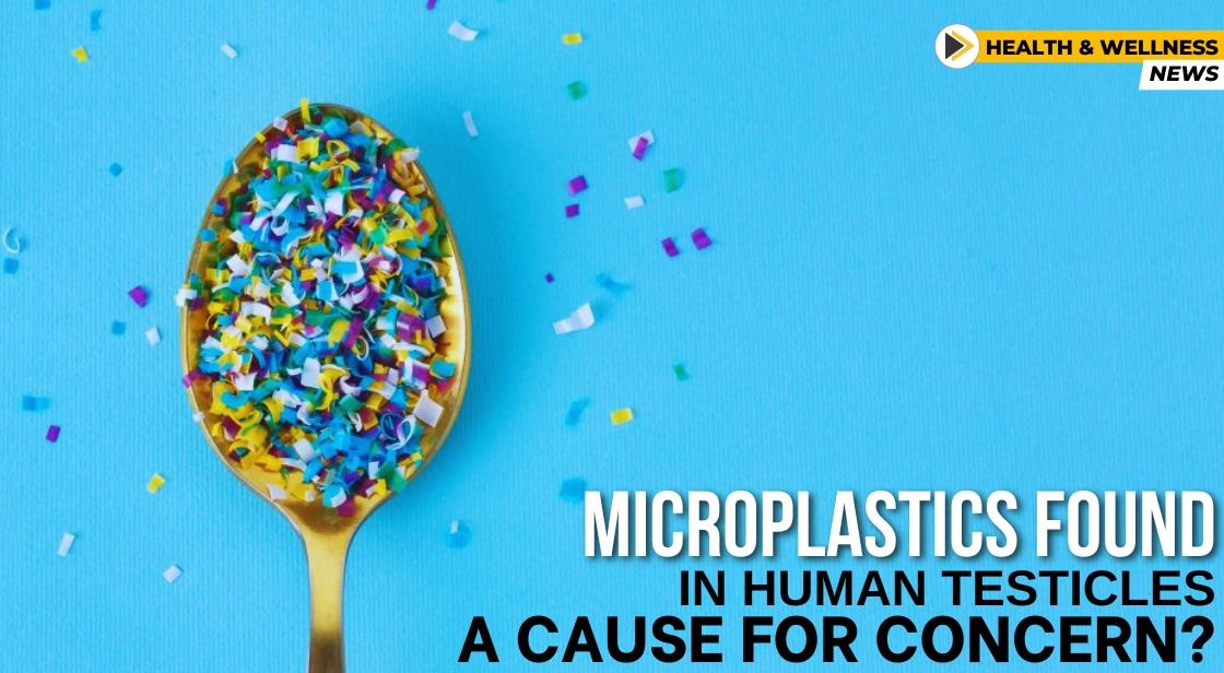 Microplastics Found in Human Testicles: A Cause for Concern?