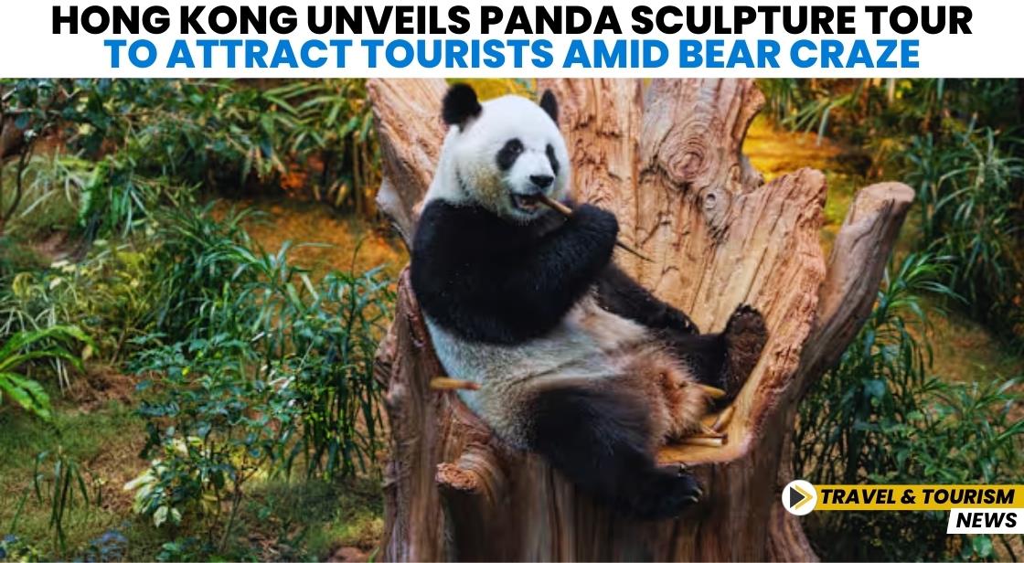 Hong Kong Unveils Panda Sculpture Tour to Attract Tourists Amid Bear Craze