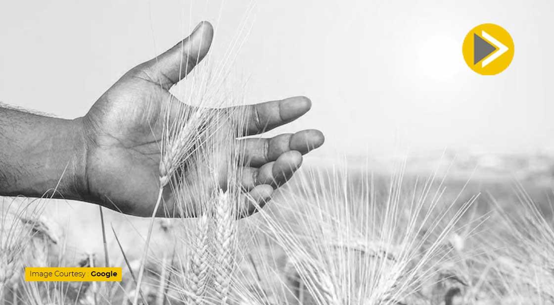 यूक्रेन युद्ध से 1.6 अरब लोगों पर गहराया भुखमरी का संकट