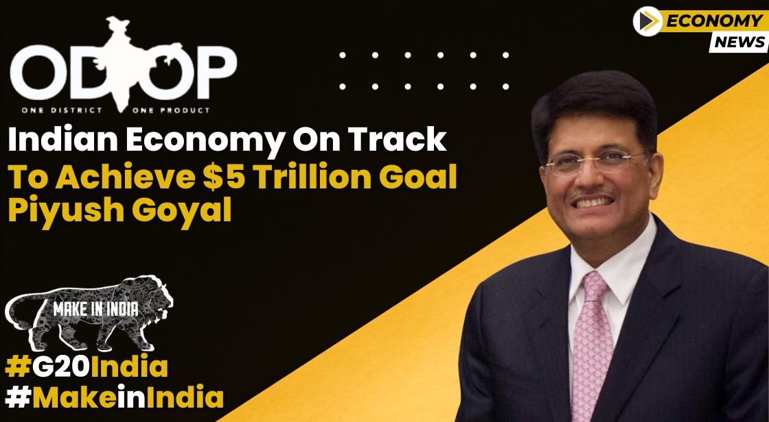 Indian Economy on Track to Achieve $5 Trillion Goal: Piyush Goyal