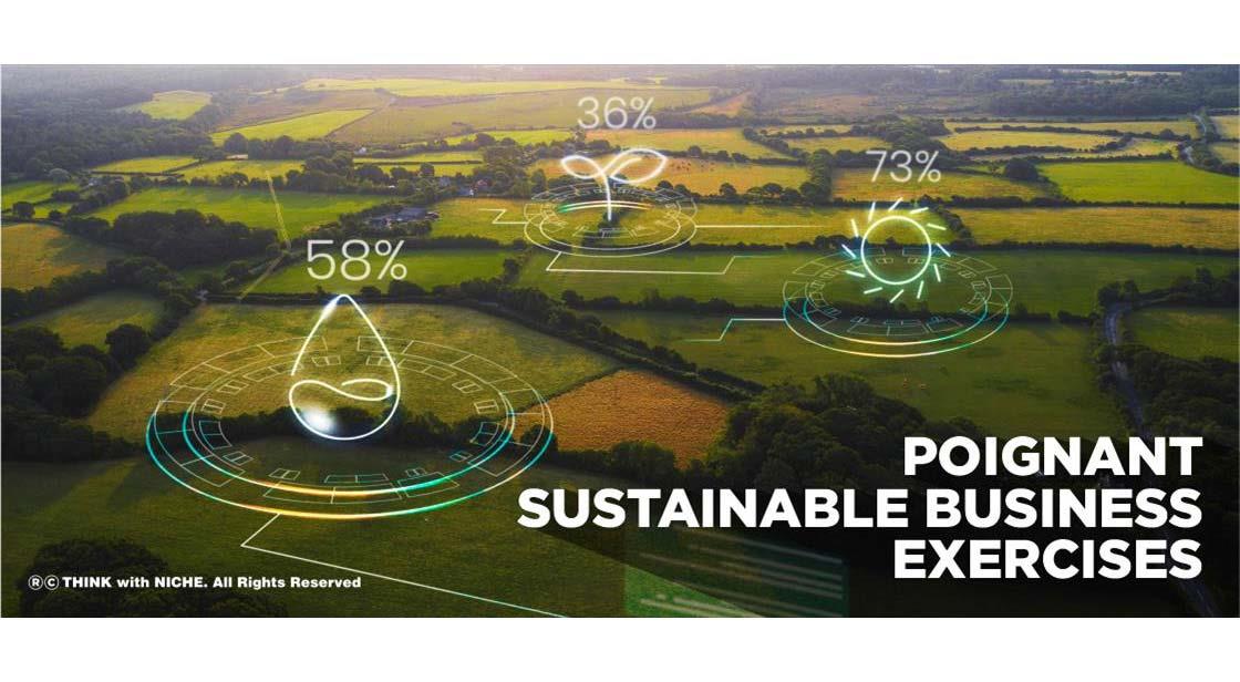 Poignant Sustainable Business Exercises