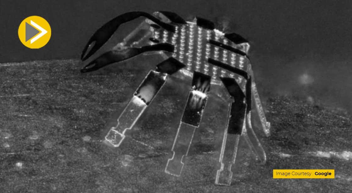Northwestern Engineers Invent Smallest Remote-Controlled Robot