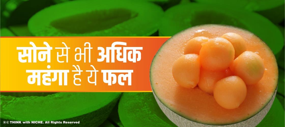 सोने से भी अधिक महंगा है ये फल