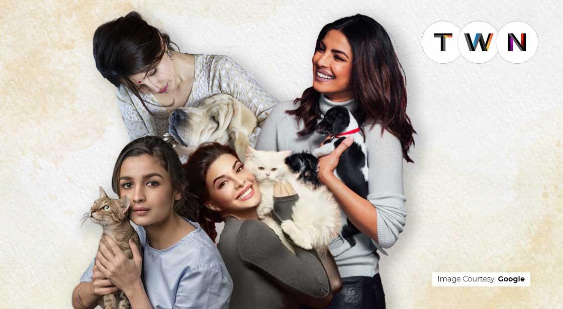 Meet Bollywood Ladies Pet Charmers