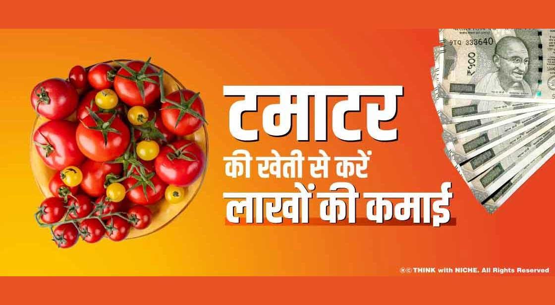 टमाटर की खेती से करें लाखों की कमाई