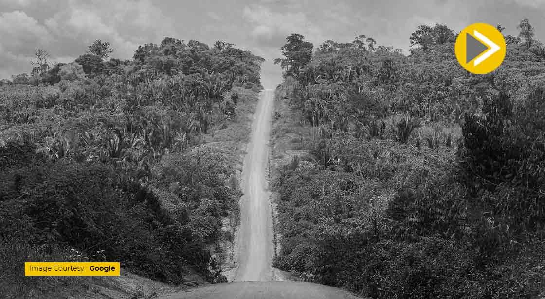 New Restrictions Could Reduce Carbon Offsets From Major Rainforests