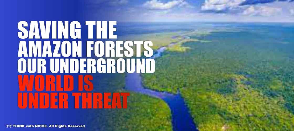 saving-the-amazon-forests