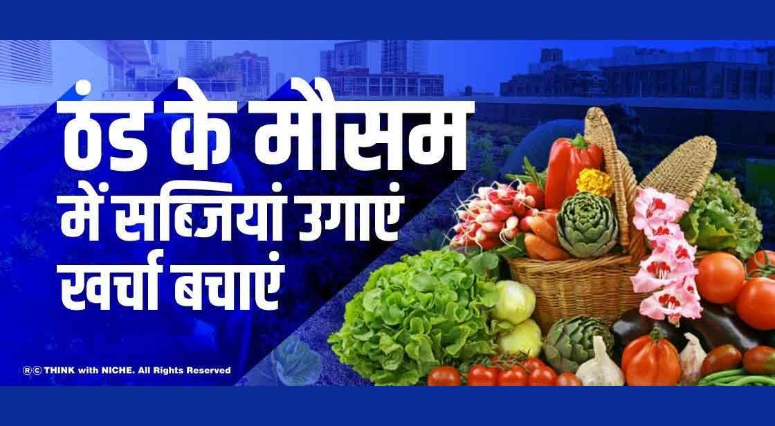 ठंड के मौसम में, सब्जियां उगाएं खर्चा बचाएं