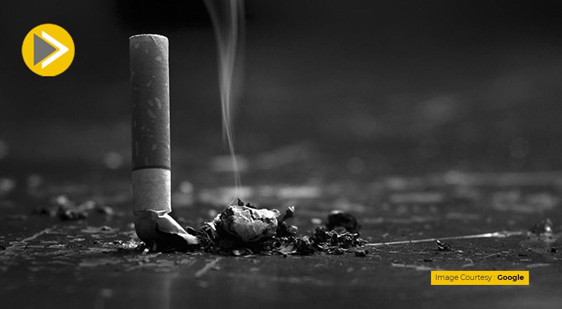 WHO Raises Alarm on Tabacco Industry Impact on Environment